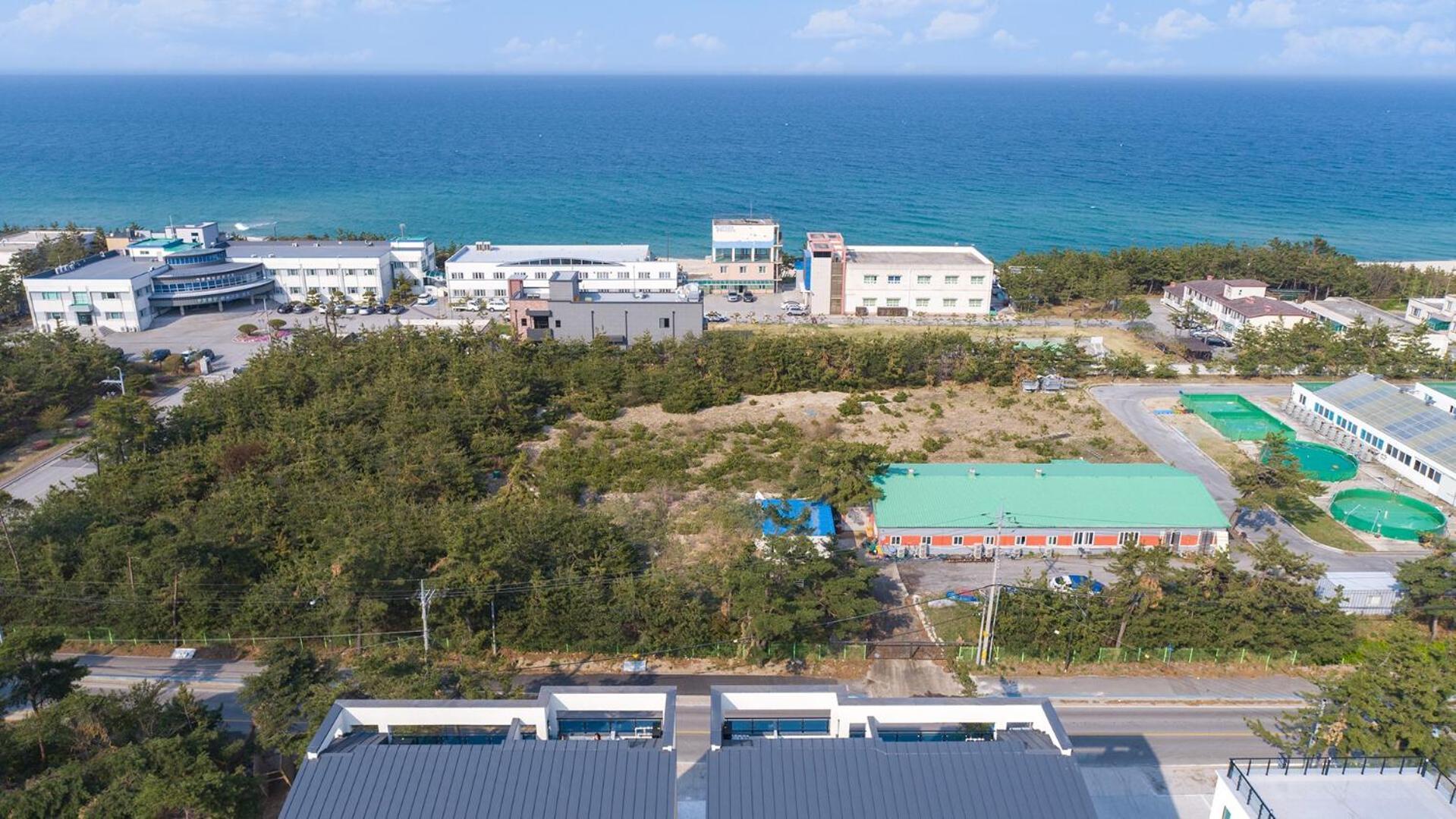 Gangneung Joeungot Poolvilla Εξωτερικό φωτογραφία