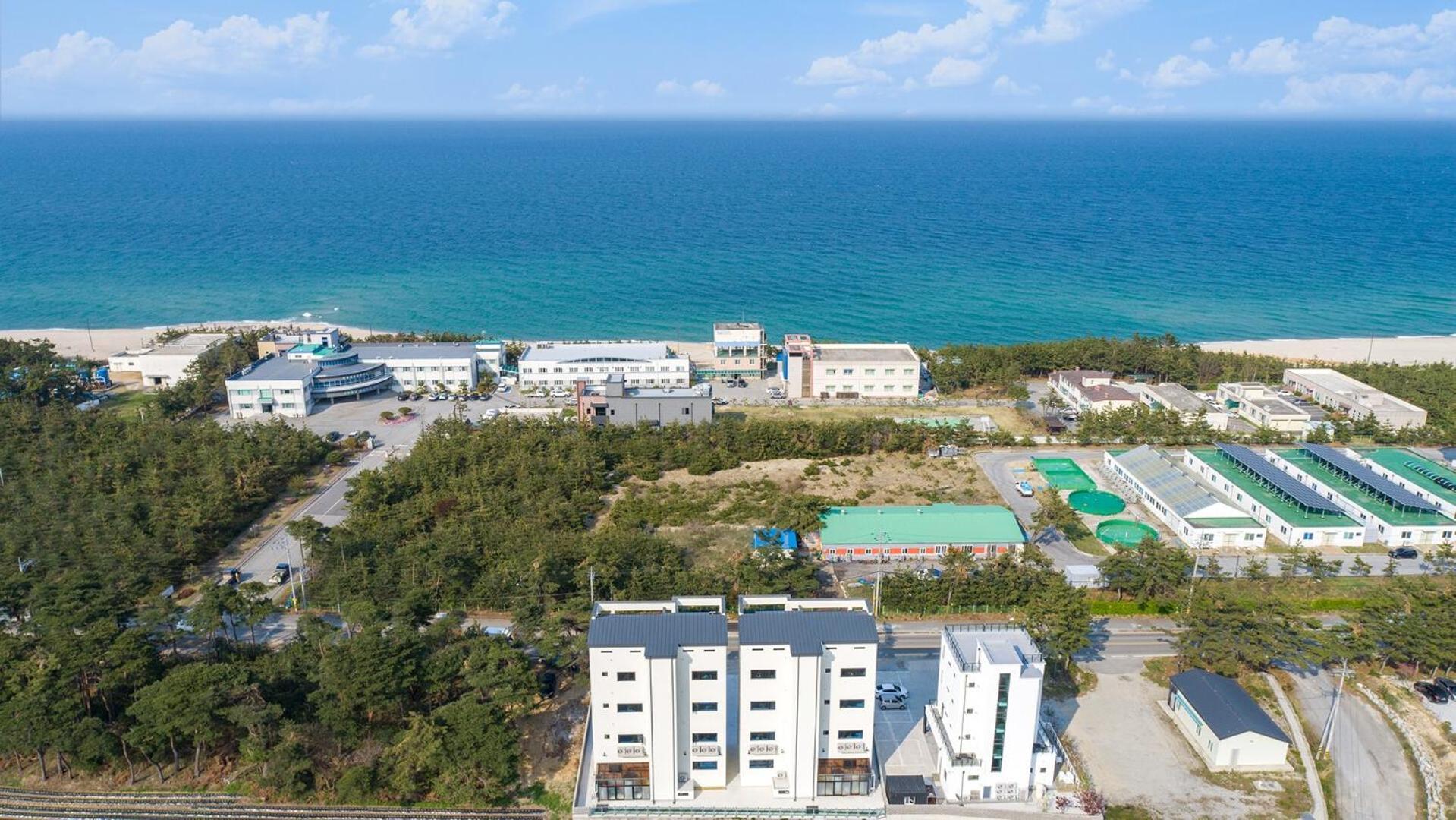 Gangneung Joeungot Poolvilla Εξωτερικό φωτογραφία